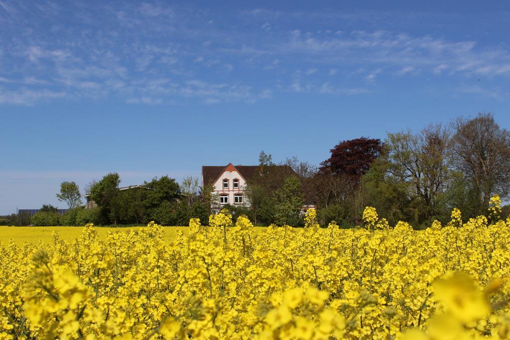 Hof Osterholz Appartement Loit Buitenkant foto